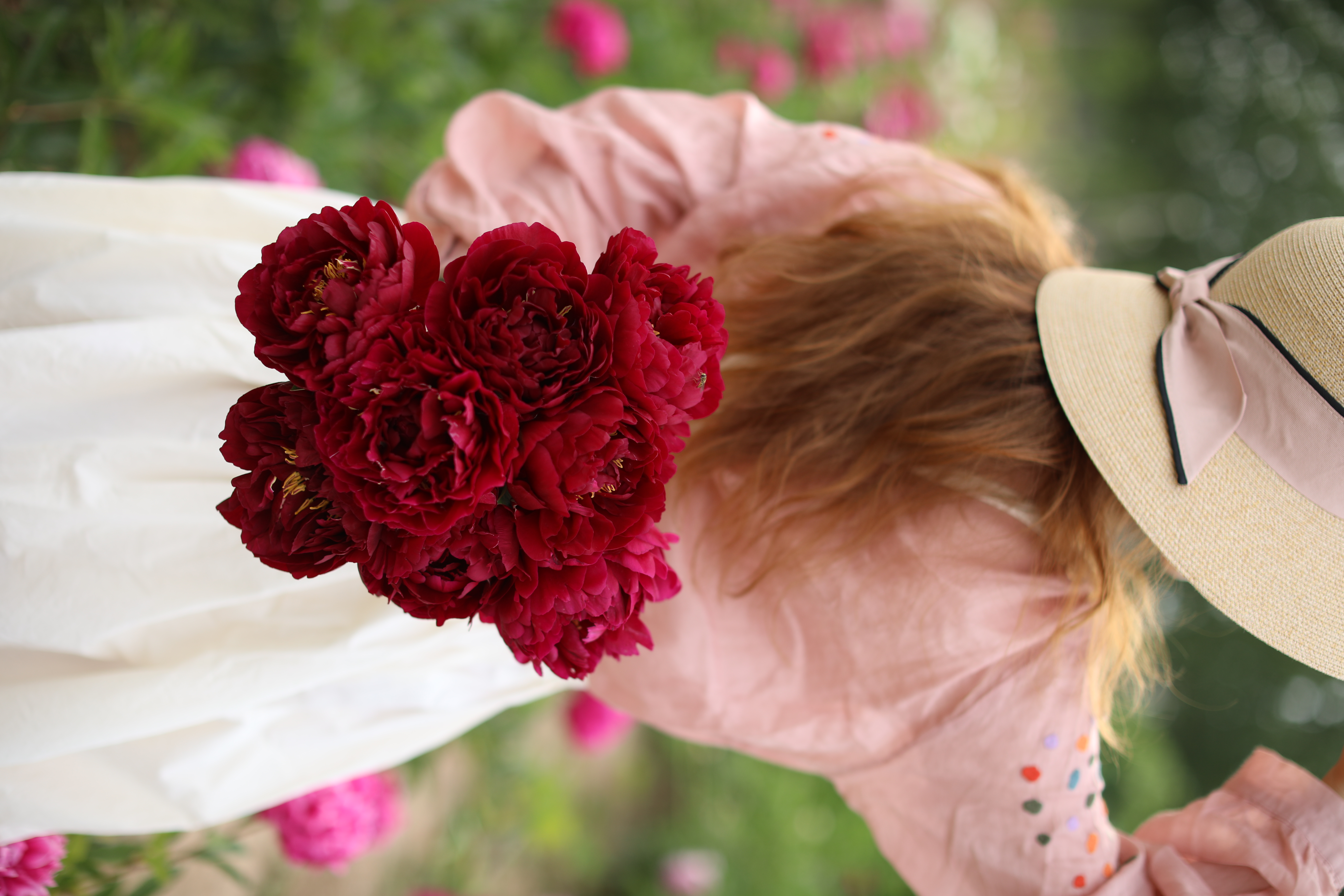 【预售，4.20陆续发出】老忠诚芍药【我是如此忠诚地爱你】简小姐精选 稀有进口复古红色重瓣芍药 2件包邮 顺丰空运直发