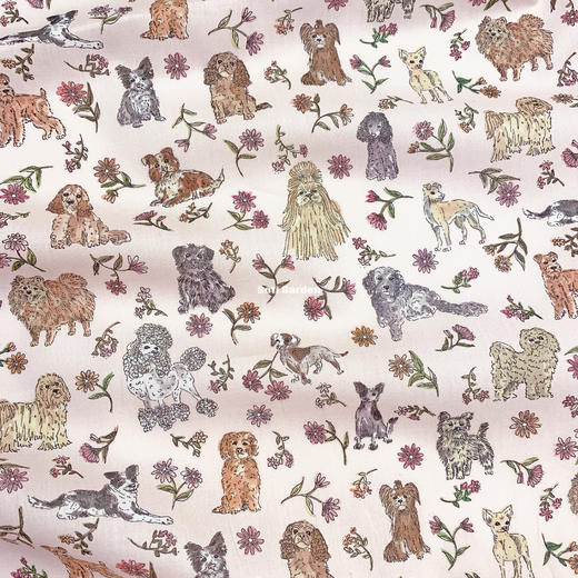 LT283C 马尔的伙伴们 Mal's Pals 英国LIBERTY利伯缇 塔纳棉高支100支 商品图3