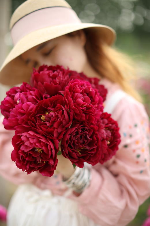 【预售，4.20陆续发出】老忠诚芍药【我是如此忠诚地爱你】简小姐精选 稀有进口复古红色重瓣芍药 2件包邮 顺丰空运直发 商品图7