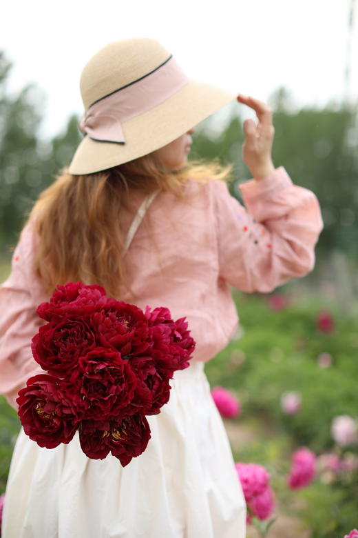 【预售，4.20陆续发出】老忠诚芍药【我是如此忠诚地爱你】简小姐精选 稀有进口复古红色重瓣芍药 2件包邮 顺丰空运直发 商品图1