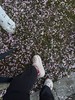 260407|Crocs 泡芙石英粉｜夏日开团福利，5-7个工作日发货【不退换】 商品缩略图9