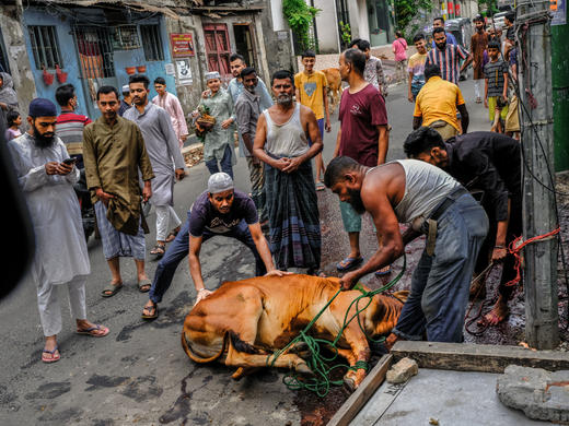 5.19确定出发【孟加拉】宰牲节&火车节人文风光10天摄影<环球寻梦> 商品图14
