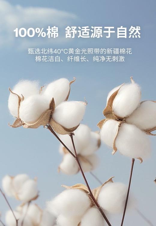 直发【XT6077】江南家！艺术涂鸦印花长绒棉圆领宽松T恤 商品图5