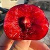 早春大樱桃 商品缩略图8