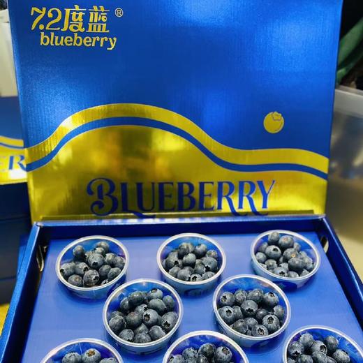 7.2度蓝蓝莓18+（8盒装） 商品图2