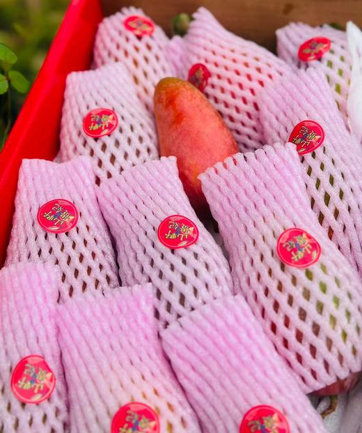 海南“山野贵妃”🥭空运到货，这款贵妃芒特别好吃, 撕开薄如蝉翼的果皮直接飙汁🥭 果核进化成细线 满口都是肉, 后调萦绕山泉蜜+淡淡奶霜香;不食贵妃芒，怎知“贵妃”美~ 商品图5