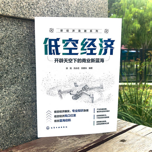 低空经济 : 开辟天空下的商业新蓝海 商品图2