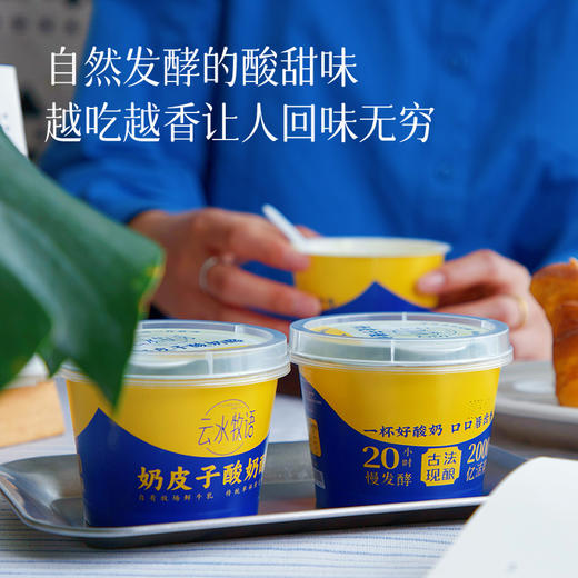 【0添加古法现酿 奶皮子酸奶】口感细腻爽滑 吃起来像冰淇淋 商品图1