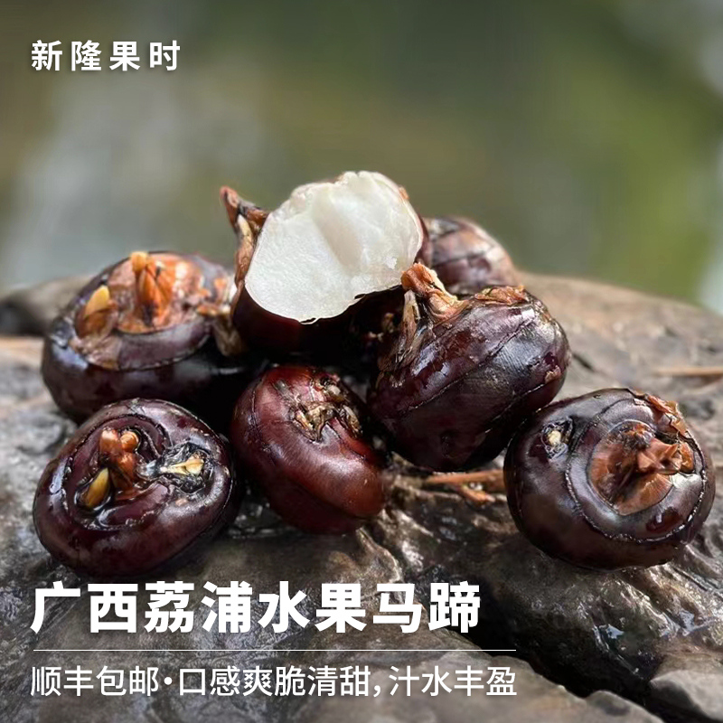 【顺丰发货】广西荔浦水果马蹄 人工采摘 口感清甜 多食不腻 自然回甘
