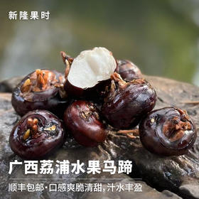 【顺丰发货】广西荔浦水果马蹄 人工采摘 口感清甜 多食不腻 自然回甘