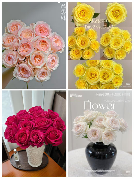 【2026.4.3】特价：1扎10枝基地玫瑰19.9（现货 下单即可到店自提） 商品图0