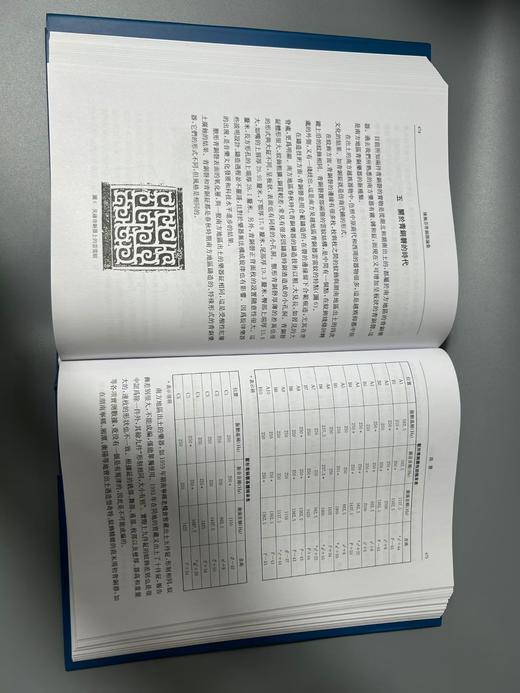 特惠推荐！《陈佩芬青铜器论集》 商品图6