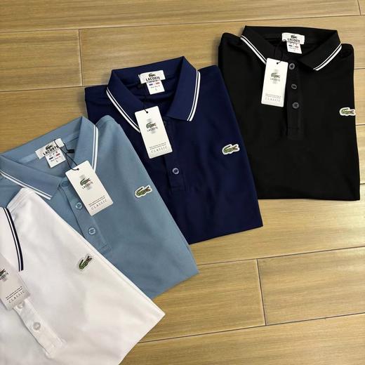 F033177夏季新款珠地网眼布棉质面料男士翻领短袖T恤polo衫 商品图1