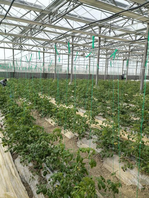 亚海农场家庭计划月卡 商品图1