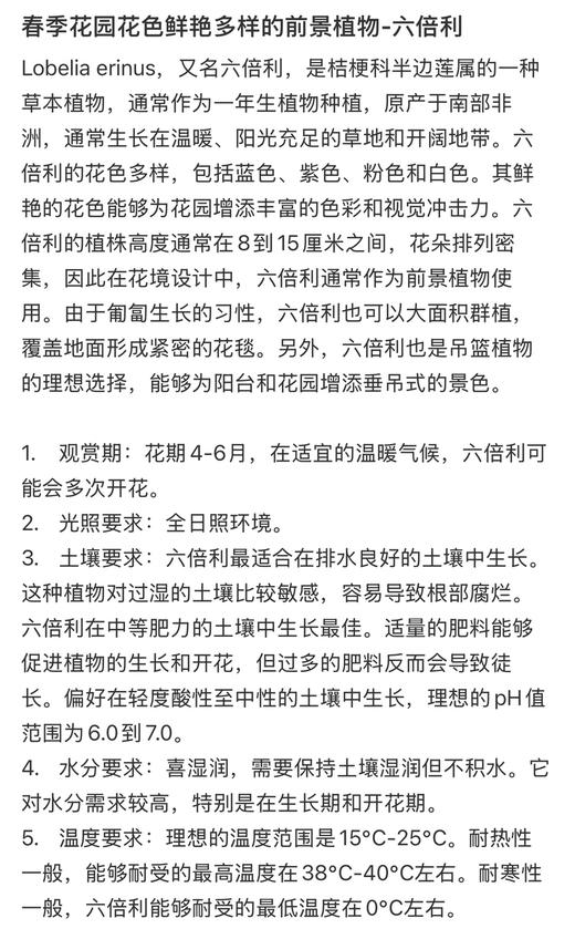 【2026.4.3绿植现货】150#六倍利15（现货，下单即可到店自提） 商品图6