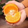  2026年四川青见果冻橙 鲜嫩，入口爆汁 商品缩略图6