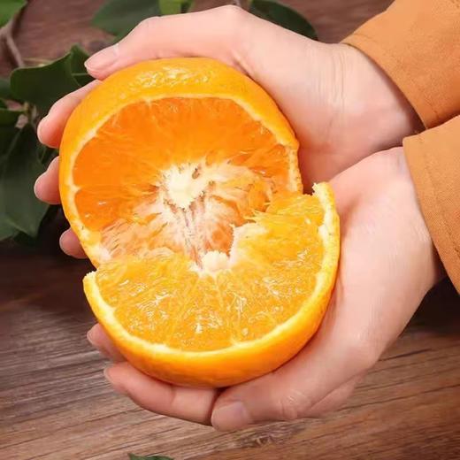  2026年四川青见果冻橙 鲜嫩，入口爆汁 商品图6