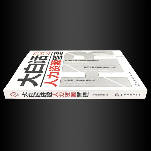 大白话讲透人力资源管理 商品图3