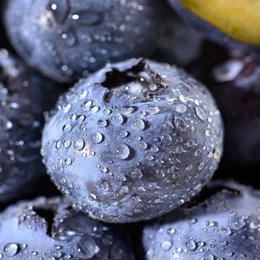 【99元15盒】【顺丰/京东冷链发货】云南花香蓝莓·18mm大果 爆开的果浆清甜可口 100g/盒 商品图3