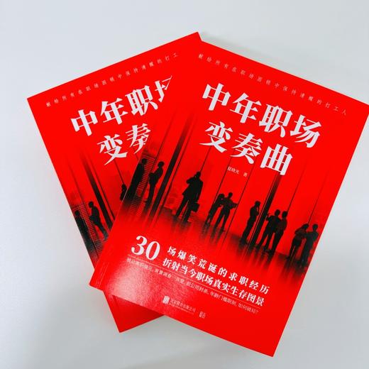 中年职场变奏曲 商品图4