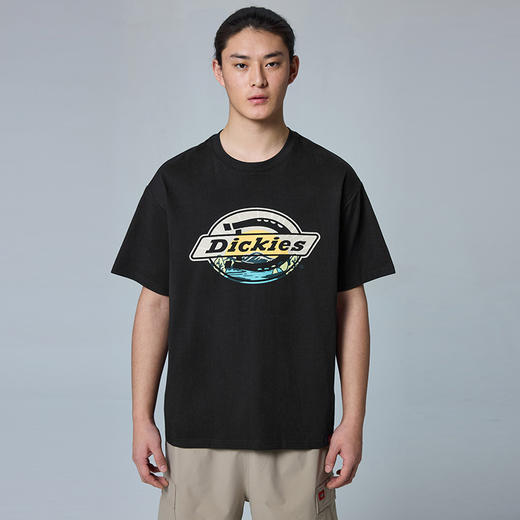 Dickies经典印花LOGO短袖T恤宽松休闲重磅半袖百搭男女同款上衣 商品图0