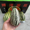 博洋玲珑蜜瓜 商品缩略图0