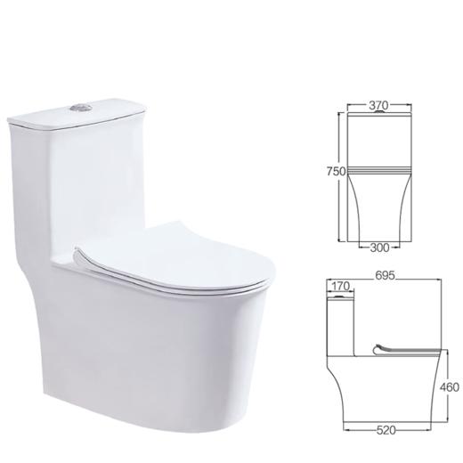 ZB07-01 坐便器 商品图1