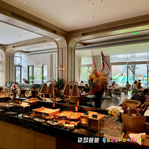 【袋鼠爸爸去哪儿 | 麓泉太白君澜度假酒店】西安出发1.5小时，去太白山下泡温泉，还有电玩室、星空影院、儿童乐园一站玩，宠物友好酒店，可以带上毛孩子出发啦 商品图14