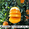 【伦晚橙】花果同枝，自带橙花香气，新鲜采摘，皮厚紧实，果肉饱满，一口咬下去，汁水四溢，化渣无籽，清甜回甘！ 商品缩略图1