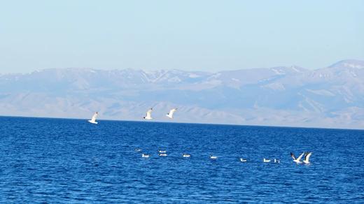 户外@2-6人【阿勒泰遇见伊犁】二进喀纳斯+禾木旅拍+赛里木湖 +那拉提+阿禾&独库公路8天 商品图5