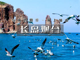 五一4日【长岛烟台】与海鸥同行の深度游长岛-蓬莱仙境-打卡网红养马岛-烟台渔人码头