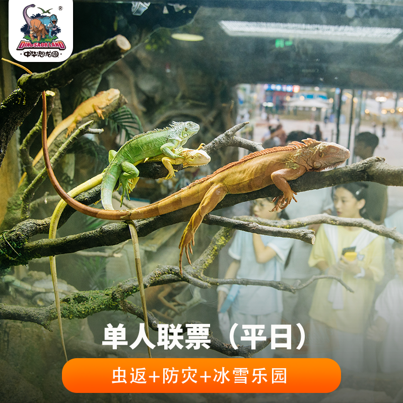【单人联票】虫返侏罗纪-爬行动物博物馆+恐龙人防灾避险体验馆+侏罗纪冰封冒险家●冰雪乐园