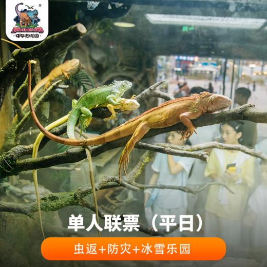 【单人联票】虫返侏罗纪-爬行动物博物馆+恐龙人防灾避险体验馆+侏罗纪冰封冒险家●冰雪乐园 商品图0