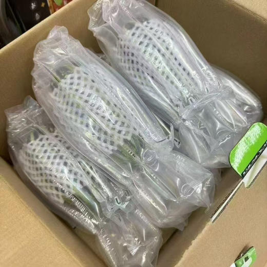 博洋玲珑蜜瓜 商品图4