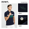 【纯棉】德鲨新款短袖翻领T恤男条纹撞色休闲上衣POLO衫2026夏季 商品缩略图2