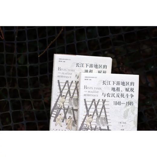 长江下游地区的地租、赋税与农民反抗斗争（1840—1949）[美]白凯/著 农村；经济史 商品图3