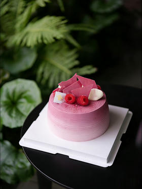 粉漾•初醒 Pink Awakening