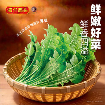 湾仔码头荠菜猪肉水饺720g36只早餐食品速食半成品面点速冻饺子 商品图4