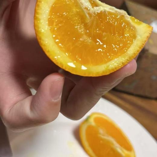 【伦晚橙】花果同枝，自带橙花香气，自然成熟，新鲜采摘，一口咬下去，汁水四溢，化渣无籽，清甜回甘！ 商品图1