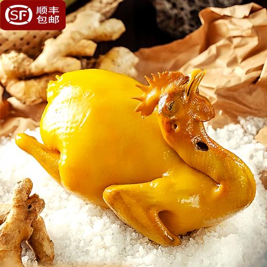 【顺丰冷链发货 到手4只】南鲜港湾 古法秘制盐焗鸡 原味/豉油/五指毛桃 650g/只 商品图2