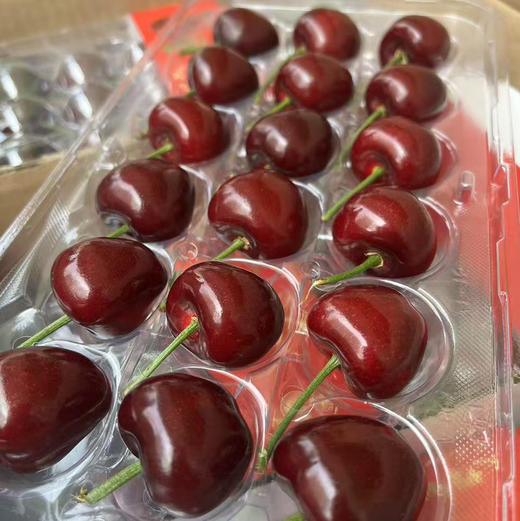 【特级甜美美早大樱桃来喽】产地极缺，外观好、有光泽、份量比较重、因为满足自然条件生长，果实饱满，且吃且珍惜👍清甜爽口 商品图8