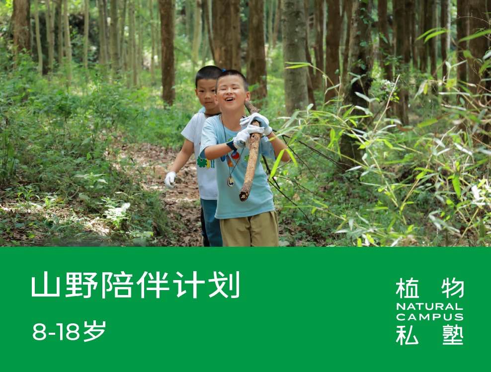 早鸟价！2026夏令营·夏校·山野陪伴计划（8-18岁）