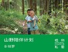 早鸟价！2026夏令营·夏校·山野陪伴计划（8-18岁） 商品缩略图0
