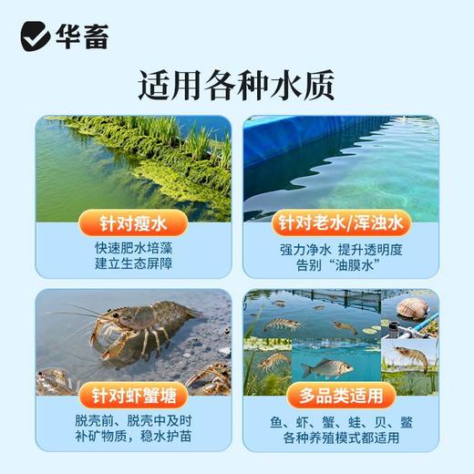 华畜芽孢杆菌发酵伴侣水产调水肥水不发臭调水肥水产养殖益生菌 商品图5