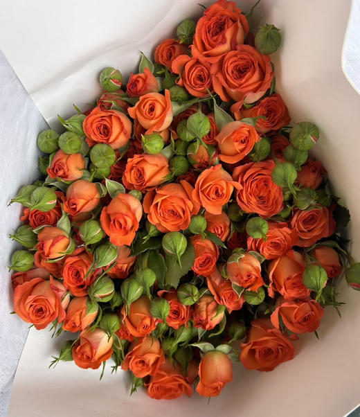 【2026.4.3】特价：5枝A级多头玫瑰19.9～29.9（现货 下单即可到店自提） 商品图3