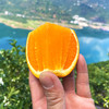 『秭归伦晚脐橙』橙香浓郁，鲜甜爆汁，现摘现发，又名帝王橙 商品缩略图3