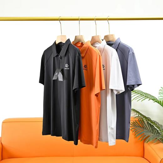 F033113夏季新款男士半拉链户外休闲冰爽速干无痕弹力短袖POLO衫 商品图1