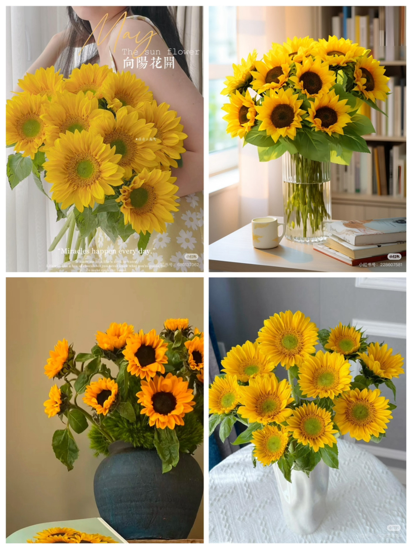 【2026.4.3】特价：1扎5枝A级迷你向日葵9.9～19.9（现货 下单即可到店自提）