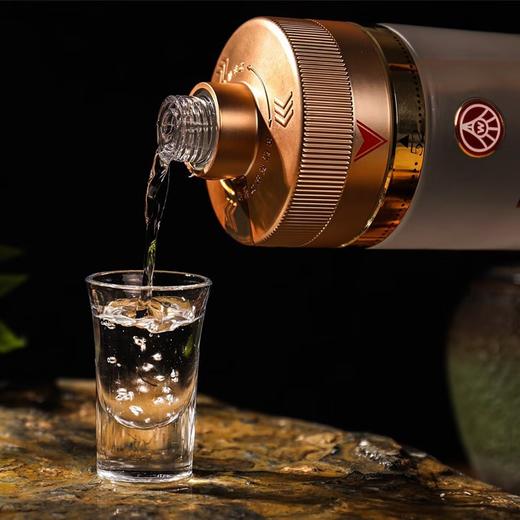 【嫡系新品】五粮液 自由度 浓香型白酒 38-69度 750ml*4瓶整箱 商品图1