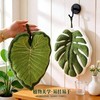 【吸水性好！双层加厚】龟背竹叶子擦手巾加厚吸水可挂式家用厨房卫生间毛巾儿童植物手帕。xa 商品缩略图0